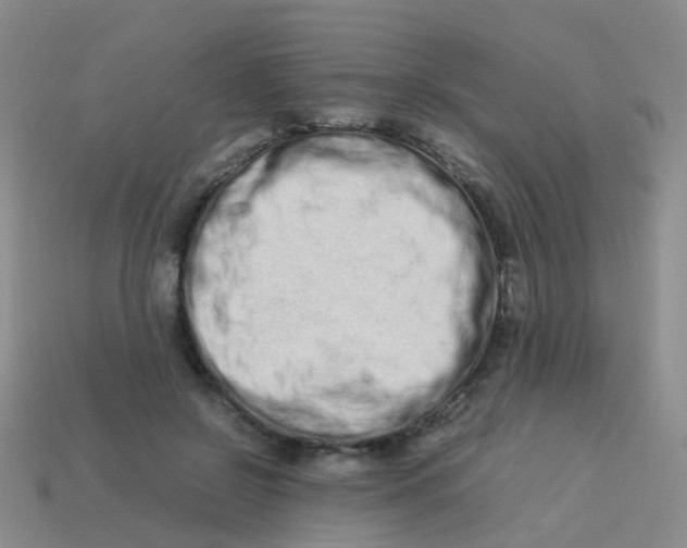 X0000113540550200910161414