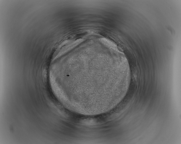 X0000113540551200910161414
