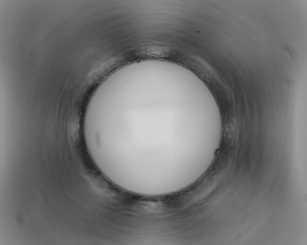 X0000113540552200910161414