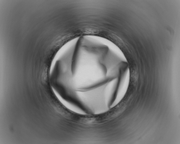 X0000113540554200910161414