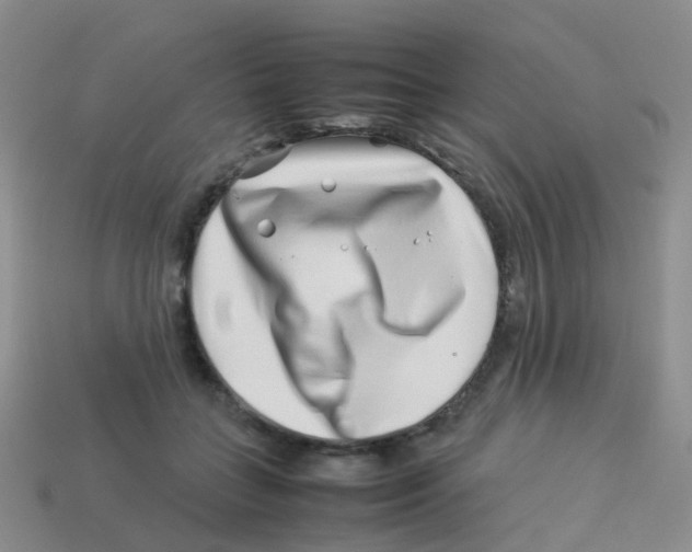 X0000113540555200910161414