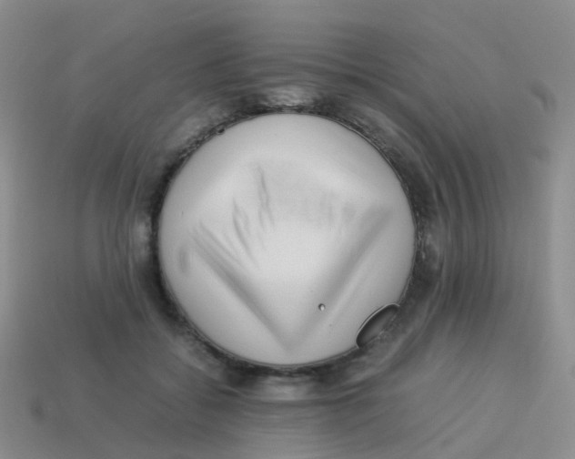 X0000113540556200910161414