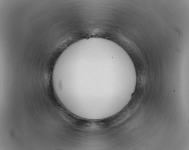 X0000113540558200910161414