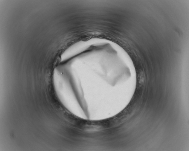X0000113540559200910161414