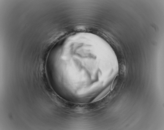 X0000113540560200910161414