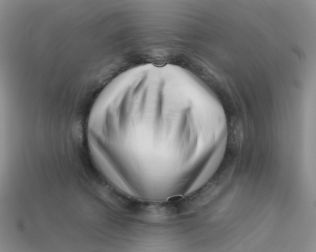 X0000113540562200910161415