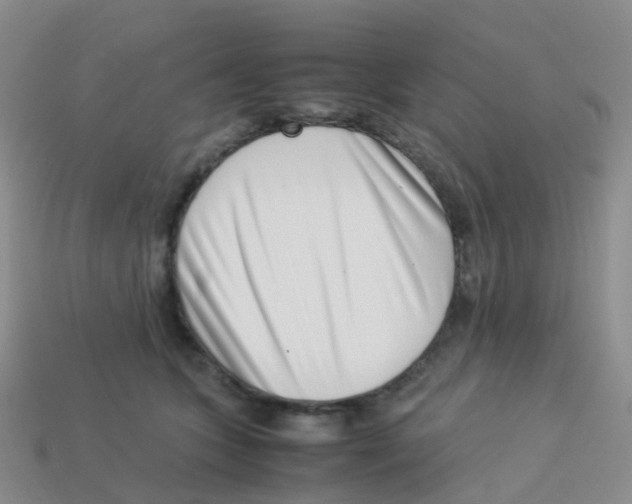 X0000113540563200910161415