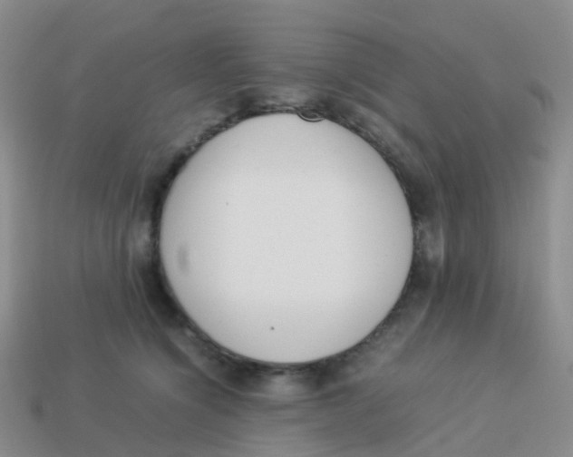 X0000113540564200910161415