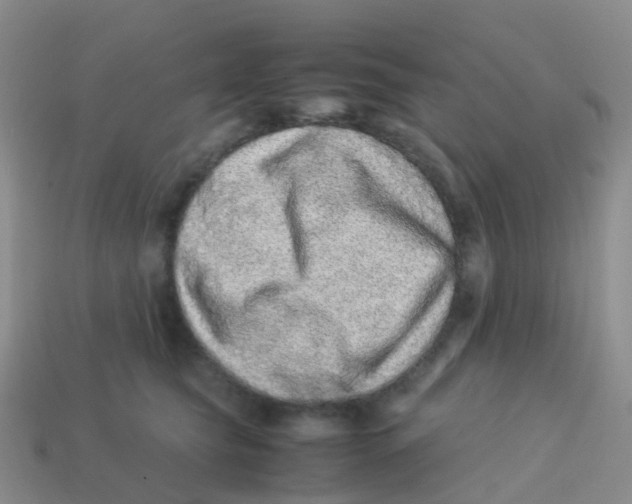 X0000113540565200910161415