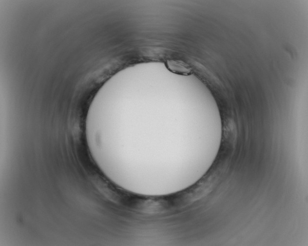 X0000113540566200910161415