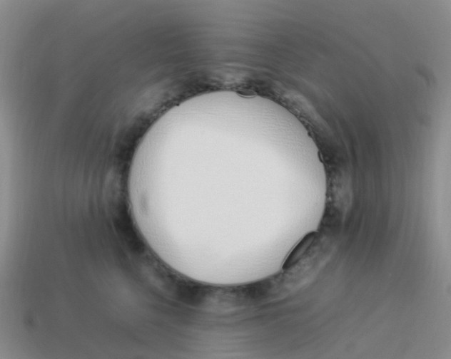 X0000113540568200910161415