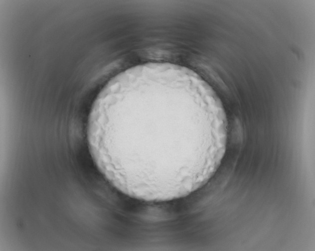 X0000113540569200910161415