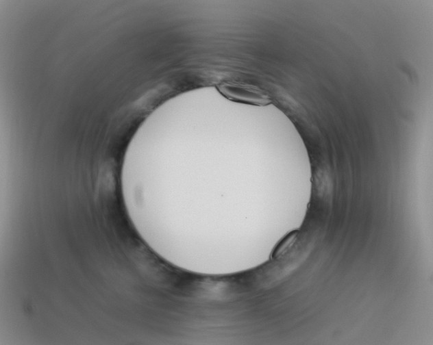 X0000113540570200910161415