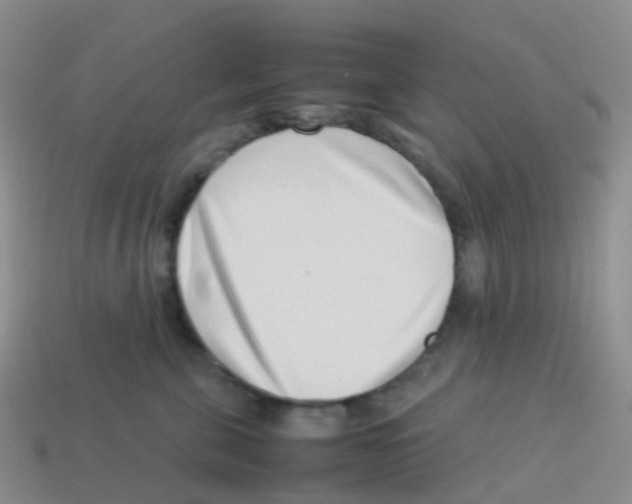 X0000113540571200910161415