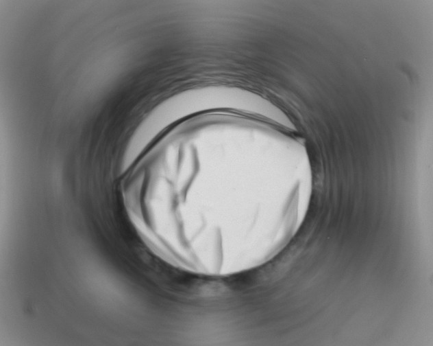 X0000113540572200910161415