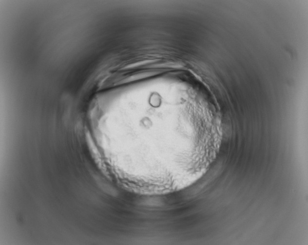 X0000113540573200910161415