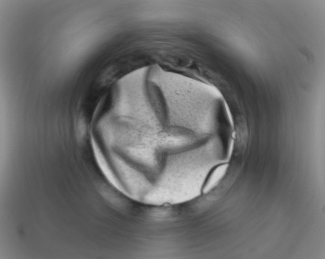 X0000113540574200910161415