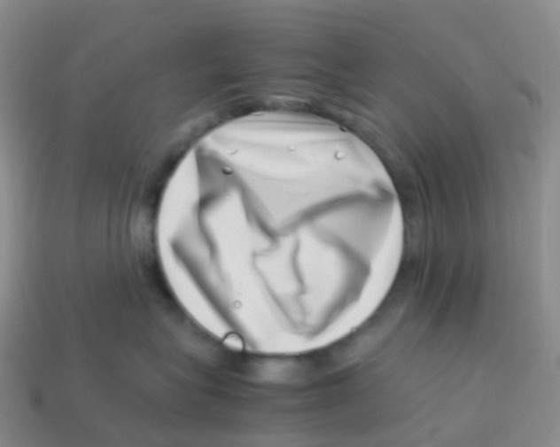 X0000113540575200910161415