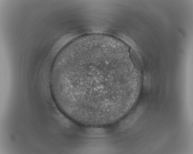 X0000113540577200910161414