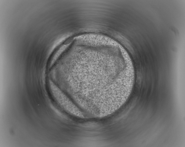X0000113540578200910161414
