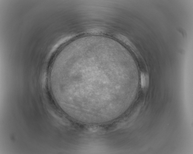 X0000113540579200910161414