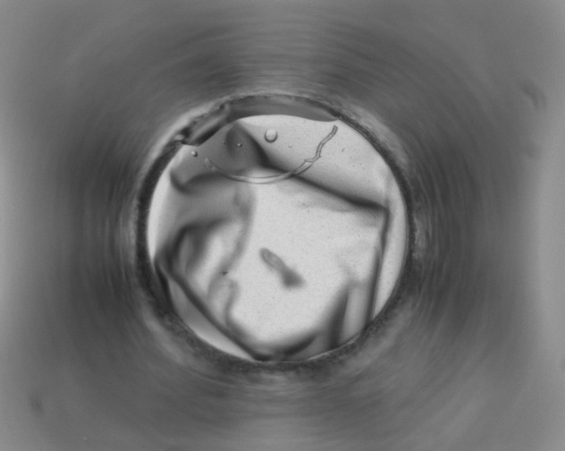 X0000113540580200910161414