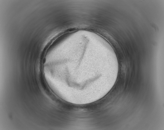 X0000113540582200910161414