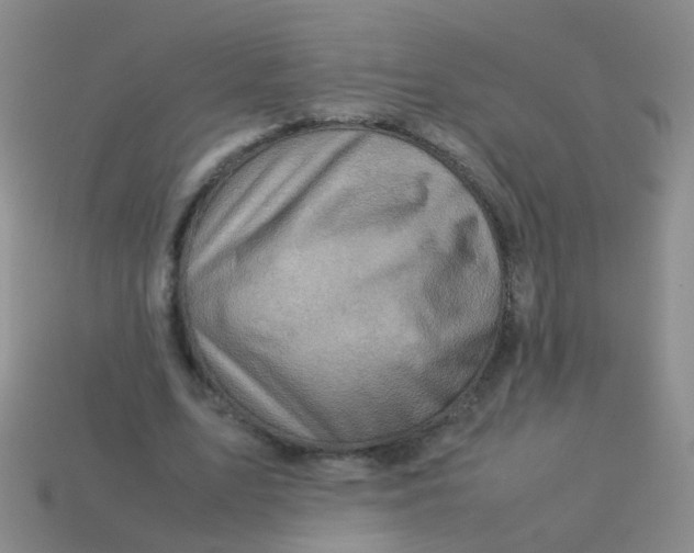 X0000113540583200910161414