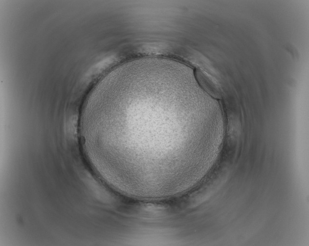 X0000113540585200910161414