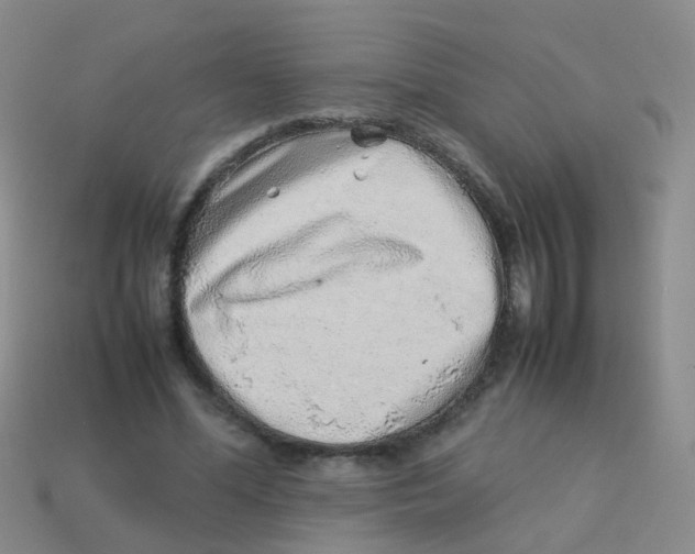 X0000113540588200910161414