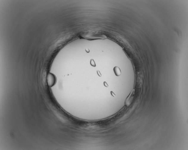 X0000113540589200910161414
