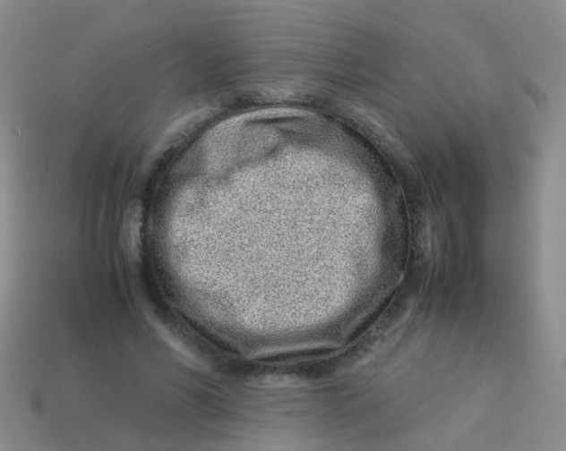 X0000113540590200910161414