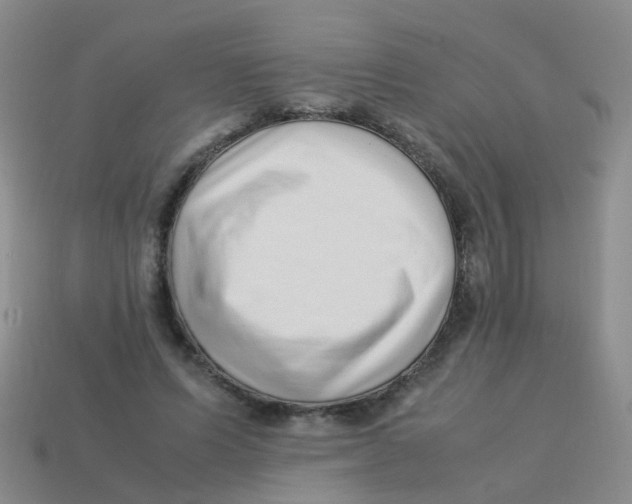 X0000113540591200910161414