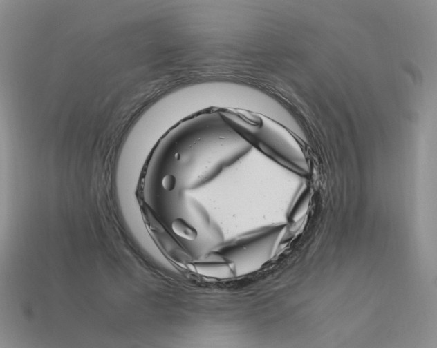 X0000113540593200910161414