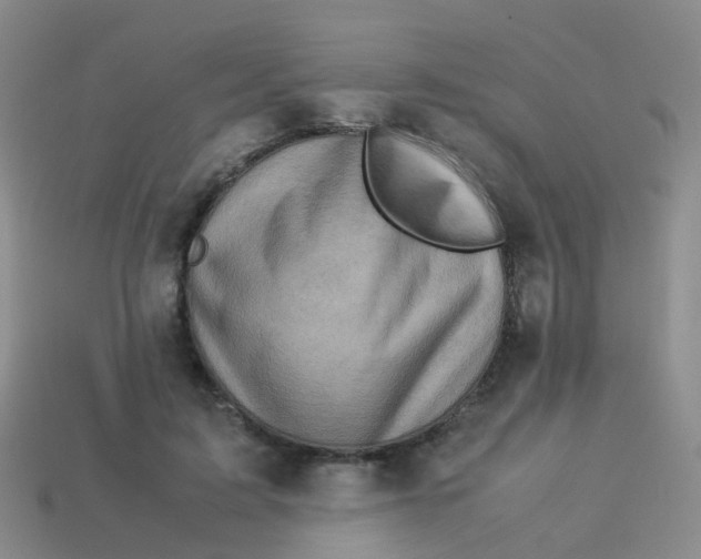 X0000113540595200910161414