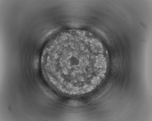 X0000113540596200910161414