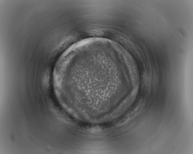 X0000113540600200910161414