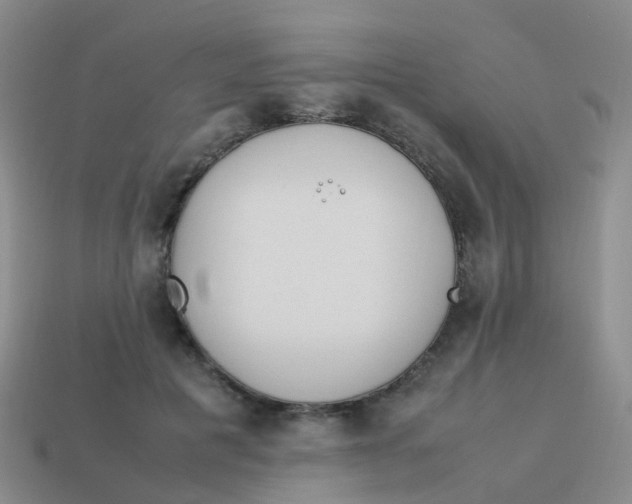 X0000113540601200910161414