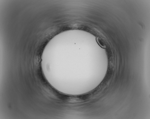 X0000113540605200910161414