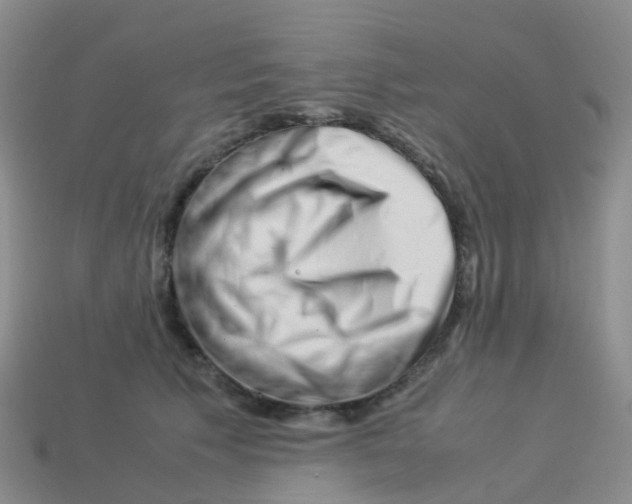 X0000113540609200910161414