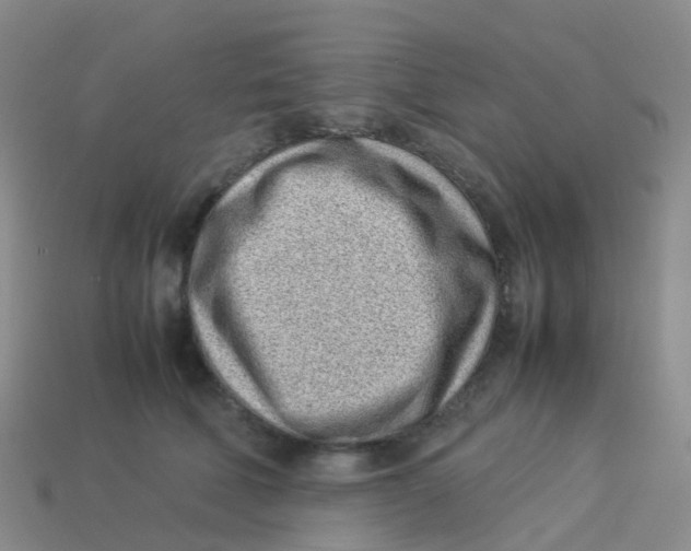 X0000113540610200910161414