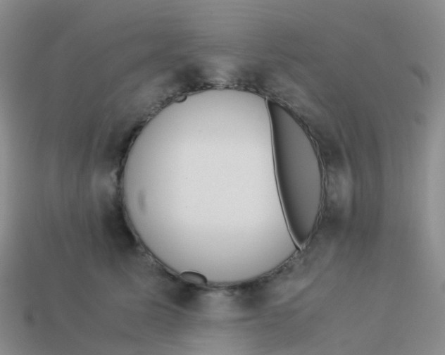 X0000113540611200910161414