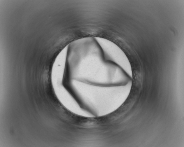 X0000113540612200910161414