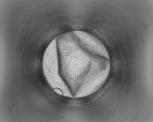X0000113540614200910161414