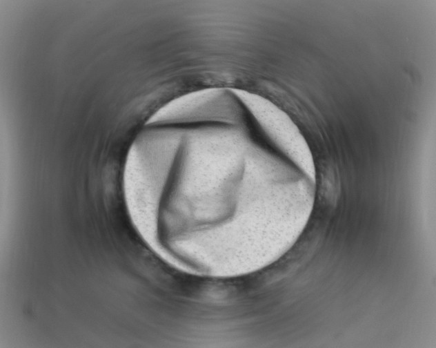 X0000113540616200910161414
