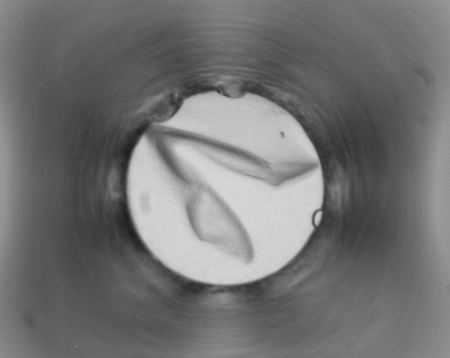 X0000113540620200910161413