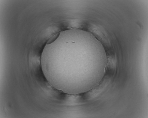 X0000113540621200910161413