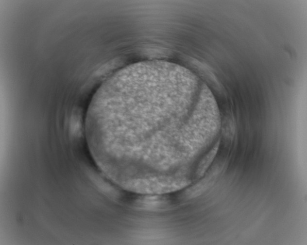 X0000113540622200910161413