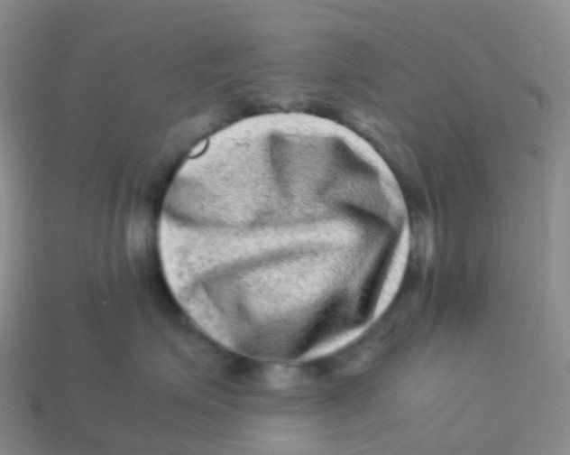 X0000113540623200910161413