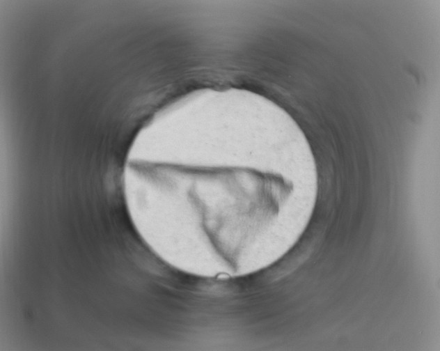X0000113540624200910161413